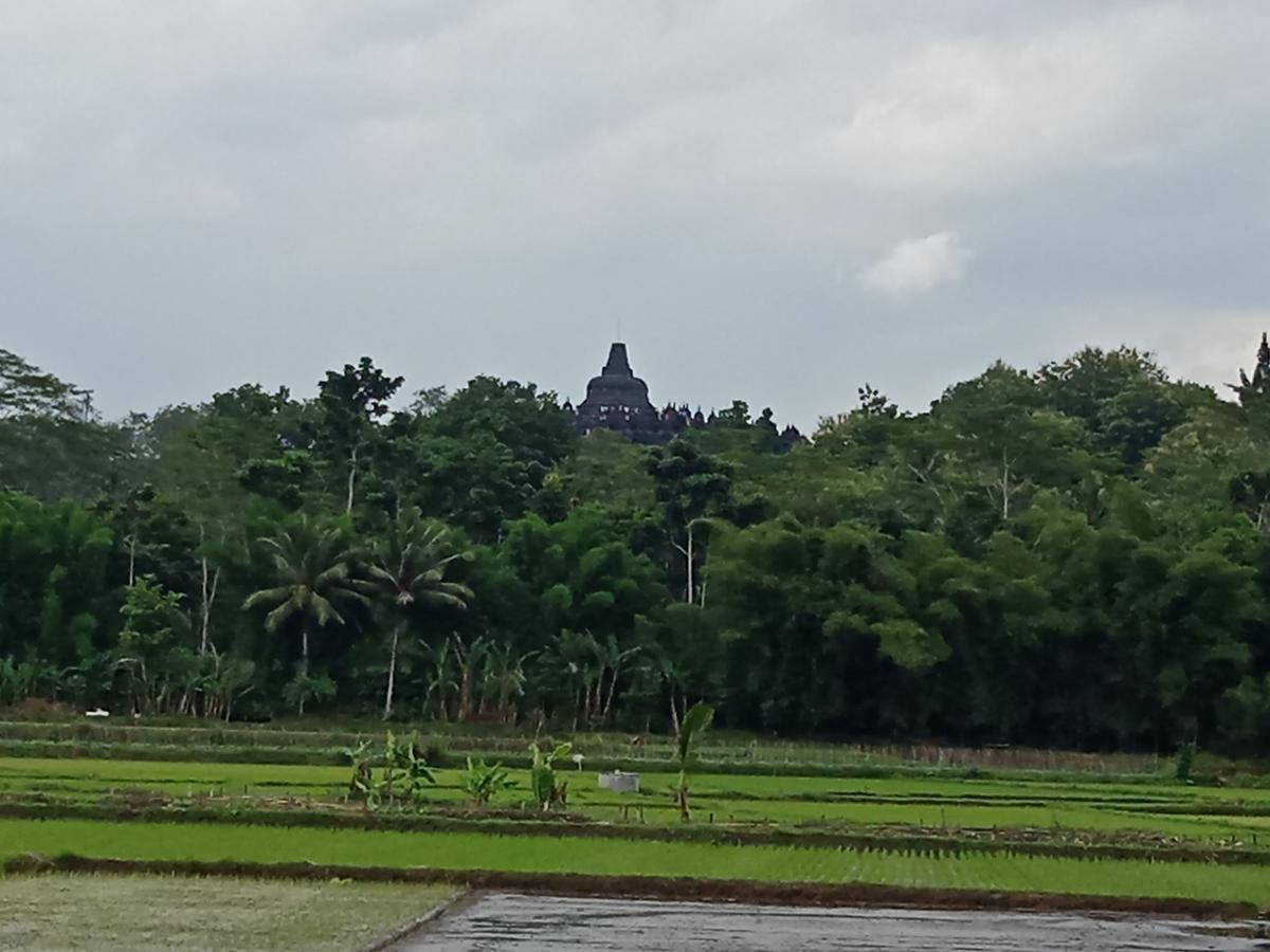Penginapan & Guest House Mbok Dhe Borobudur Magelang Zewnętrze zdjęcie